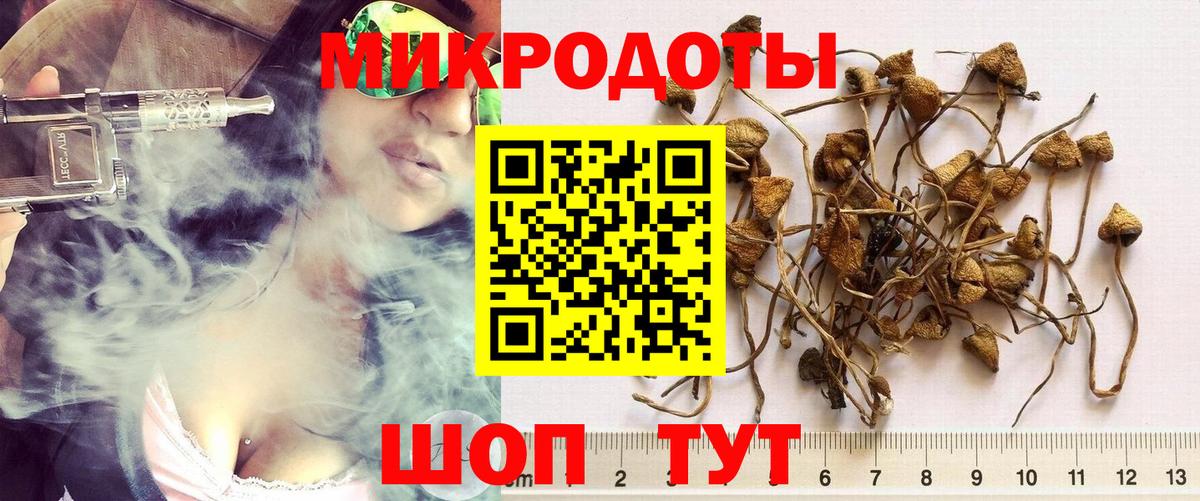Галлюциногенные грибы MAGIC MUSHROOMS Туймазы